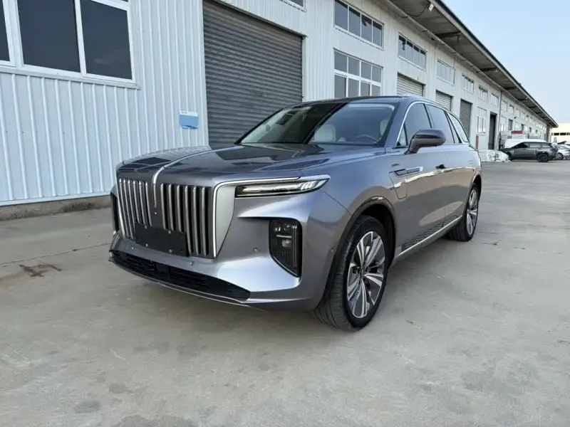 Hongqi E-HS9, 2021