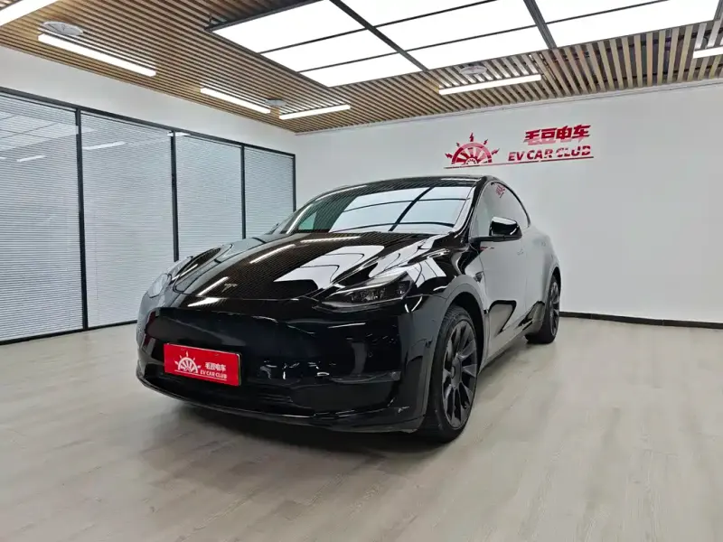 Tesla Model Y, 2022