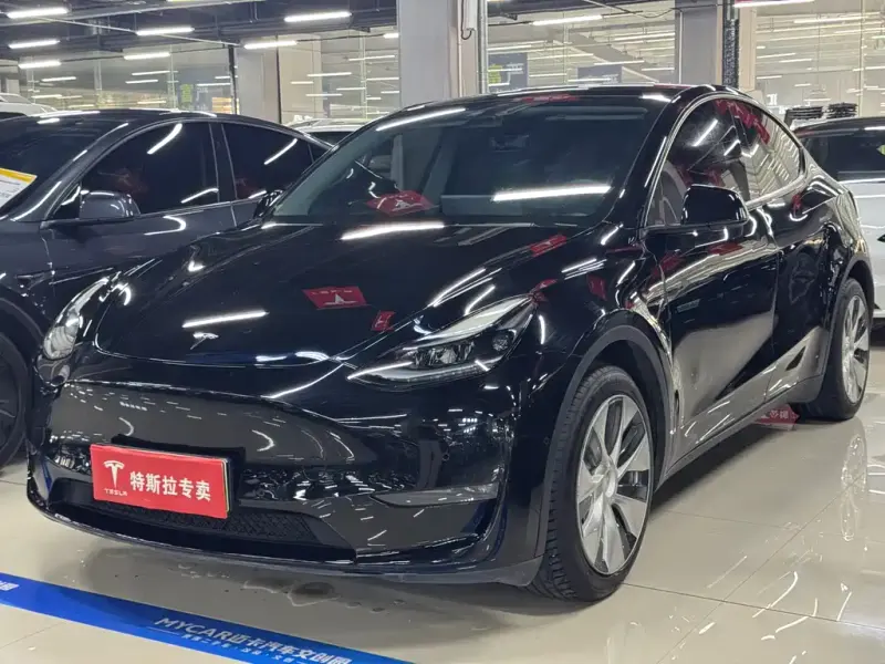 Tesla Model Y, 2021