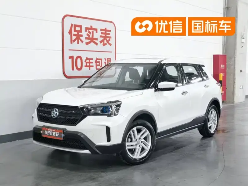 Venucia T60, 2019