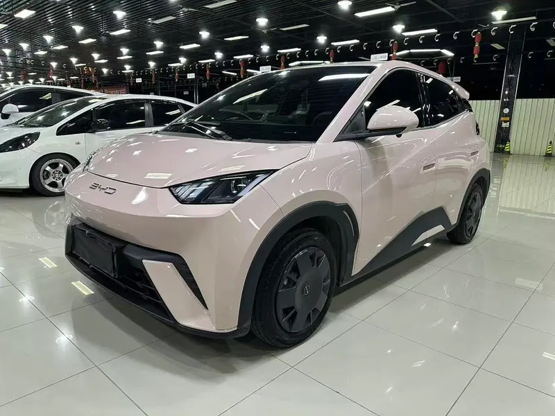 BYD Seagull, 2023