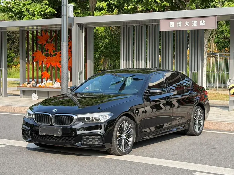 BMW 5-Series, 2019