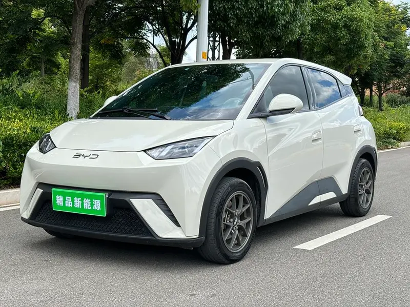 BYD Seagull, 2024