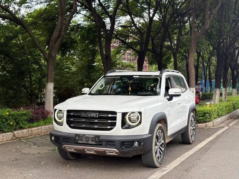 Haval Big Dog, 2021