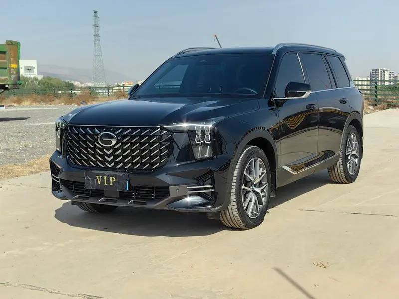 GAC Trumpchi Trumpchi GS8, 2024