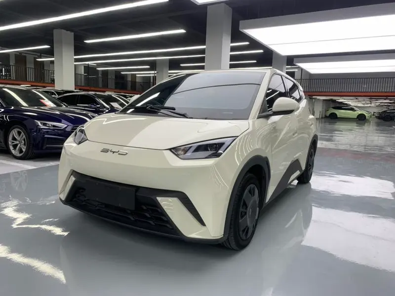 BYD Seagull, 2023
