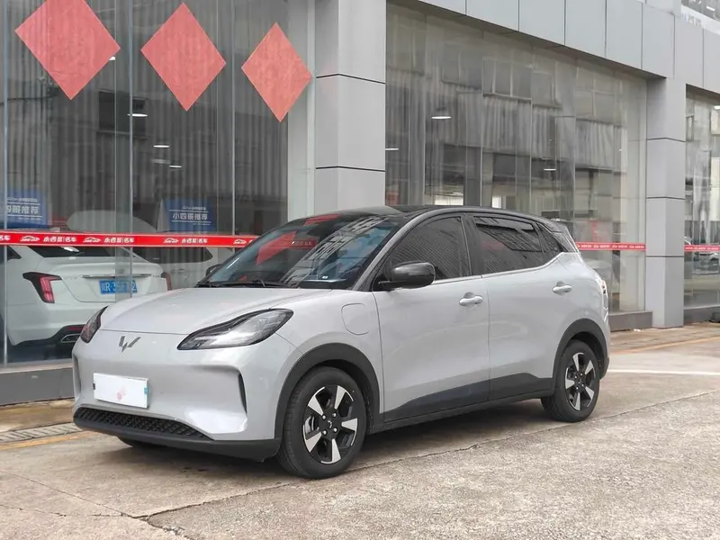 Wuling Bingo PLUS, 2024