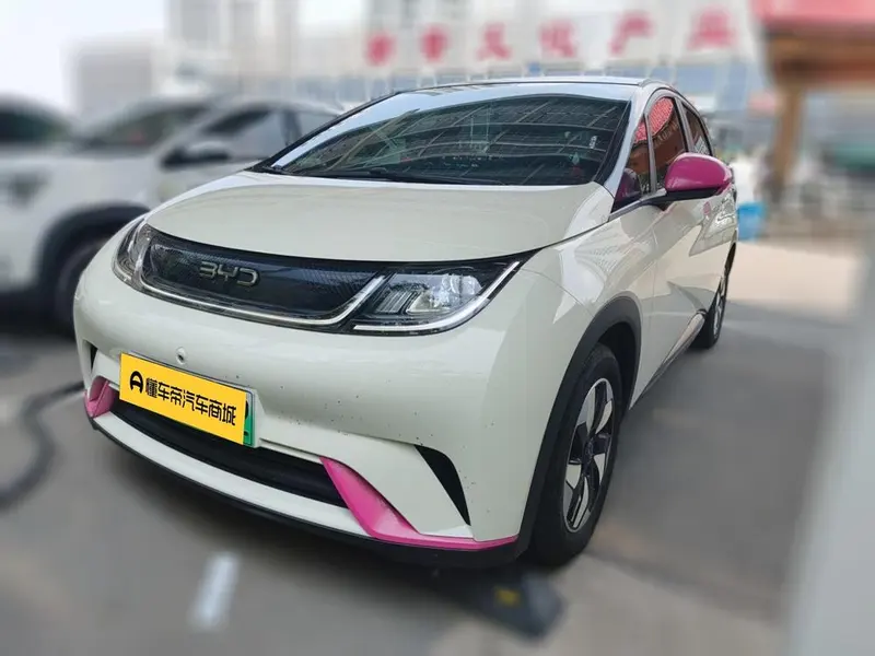BYD Dolphin, 2024