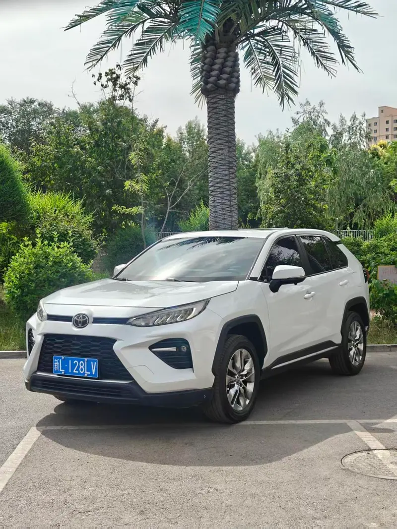 Toyota Wildlander, 2022
