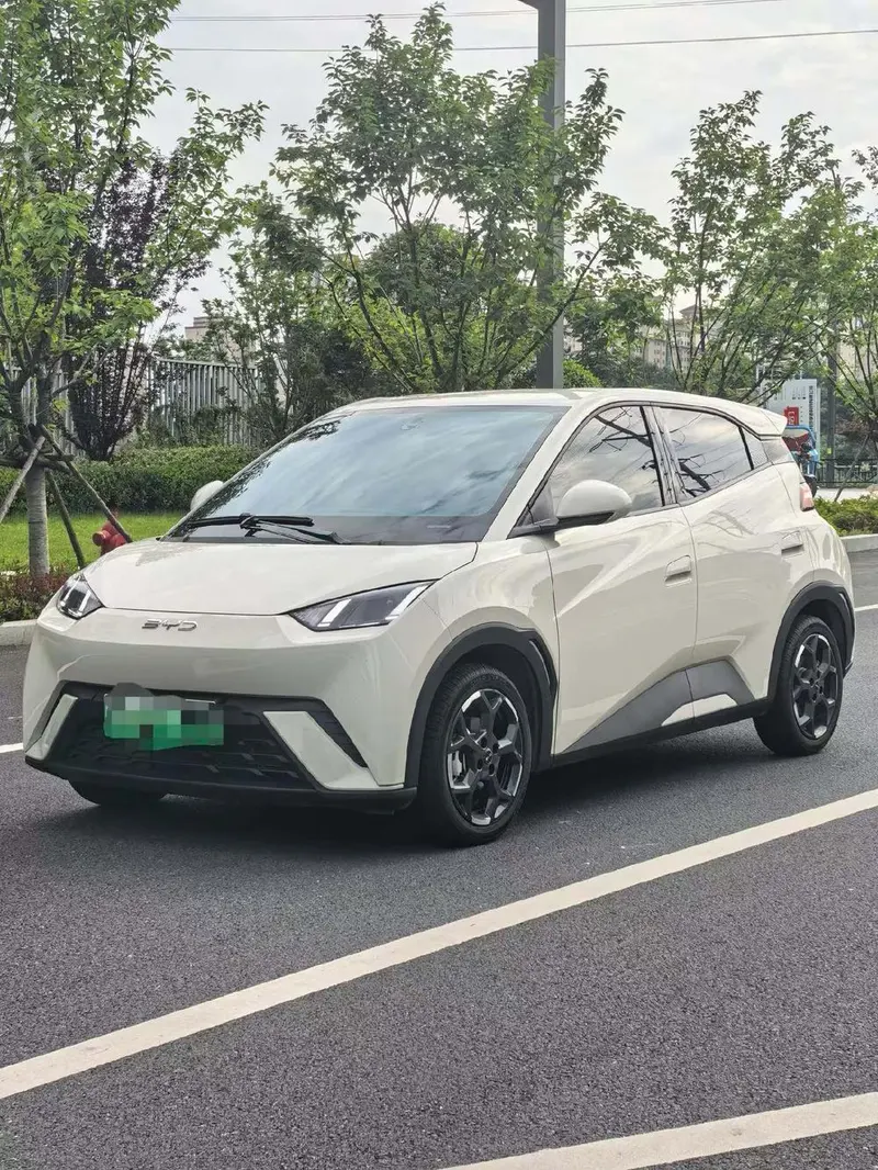 BYD Seagull, 2024