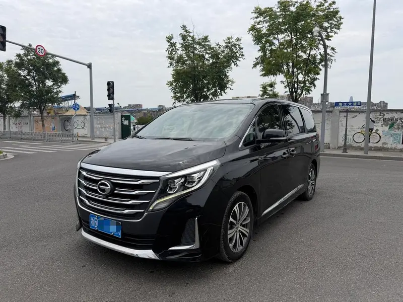 GAC Trumpchi Trumpchi M8, 2020