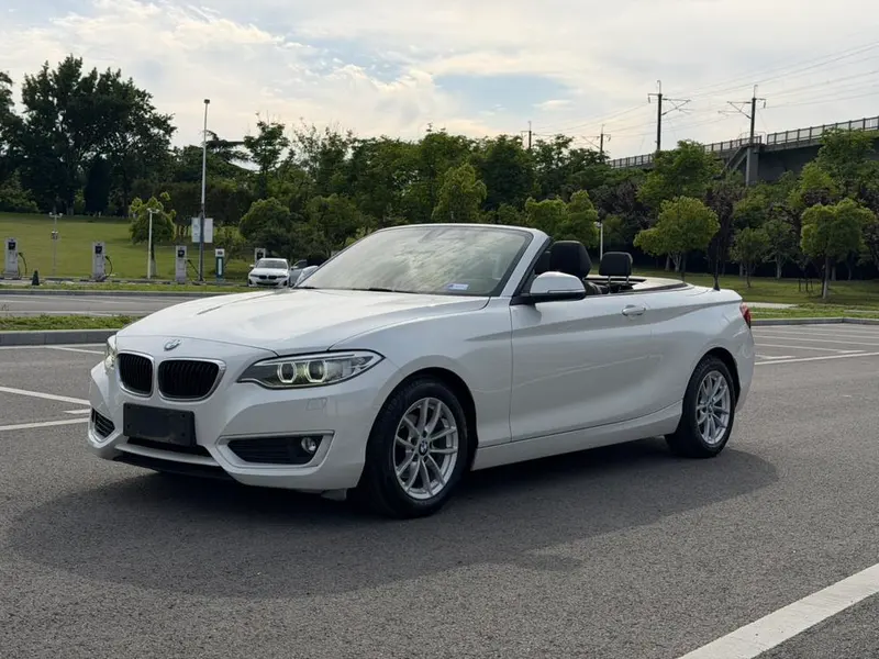 BMW 2-Series (Import), 2015