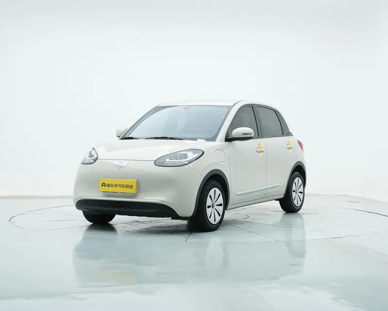 Wuling Bingo, 2024