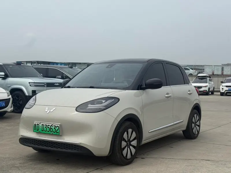 Wuling Bingo, 2023