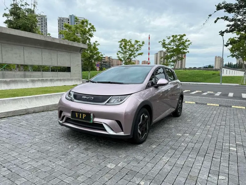 BYD Dolphin, 2021