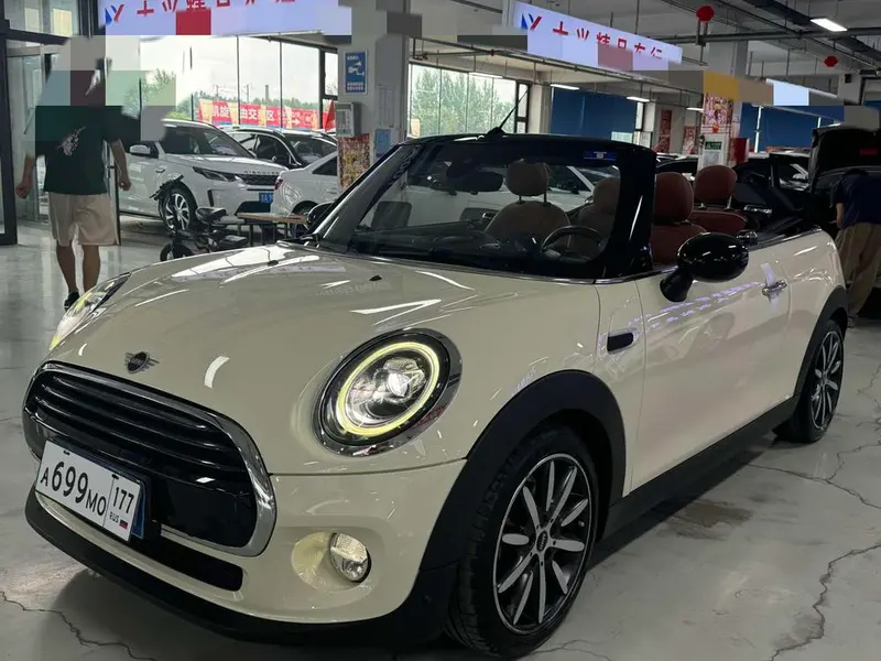 MINI MINI, 2019
