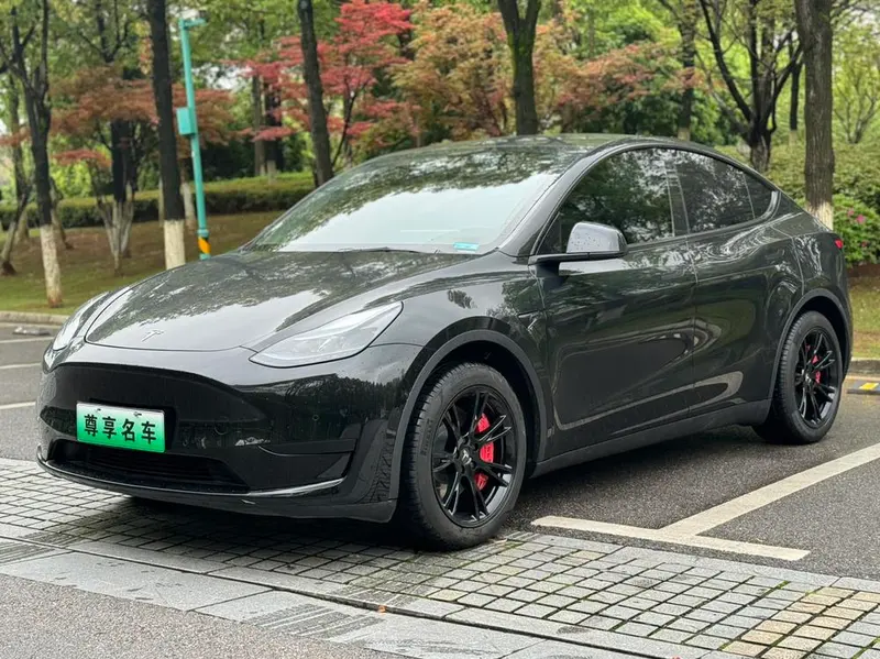 Tesla Model Y, 2022