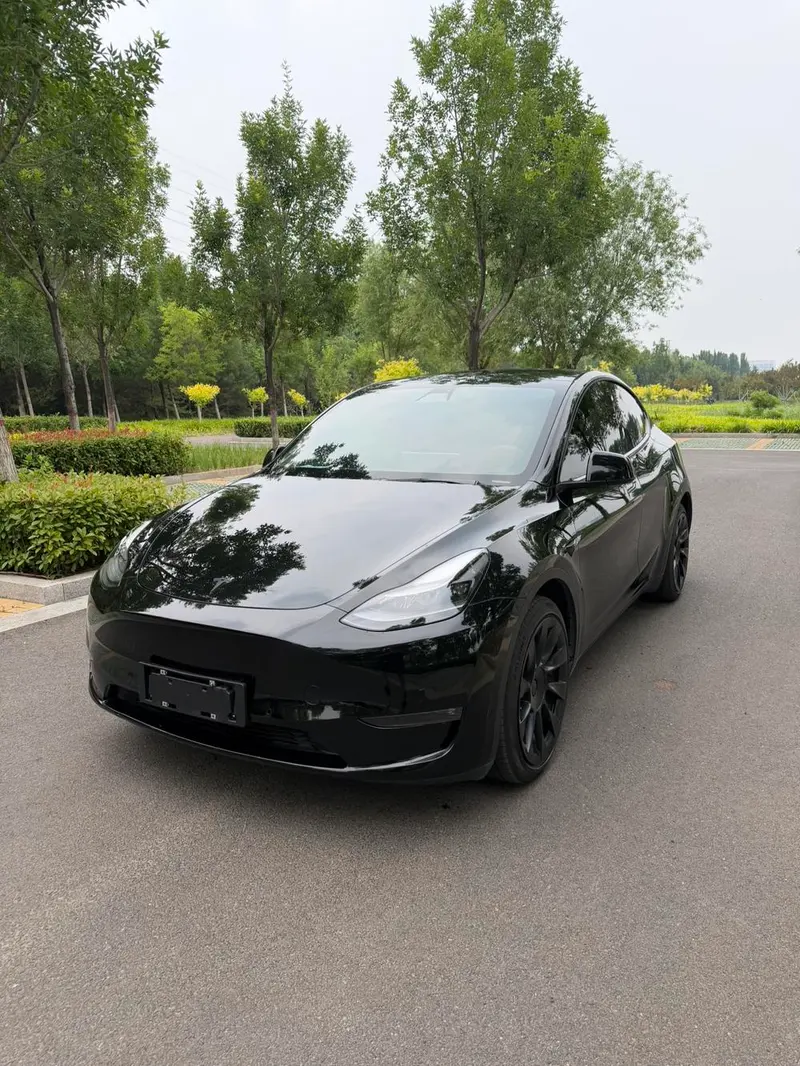 Tesla Model Y, 2021