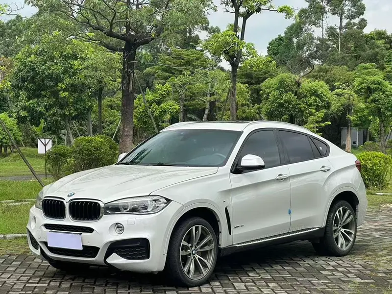 BMW X6, 2019