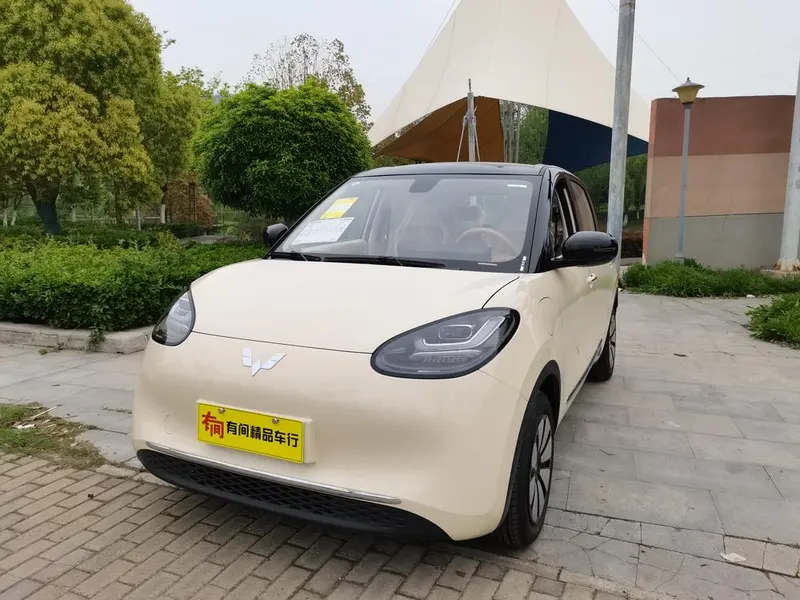 Wuling Bingo, 2025