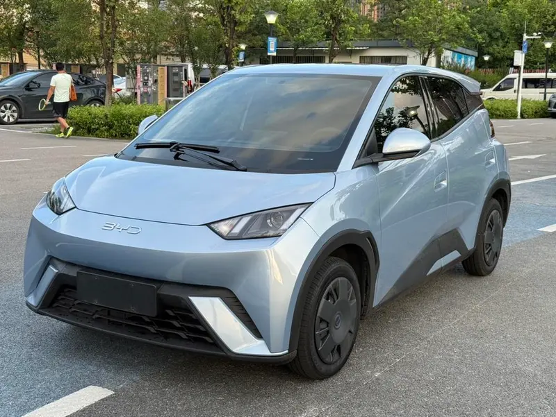 BYD Seagull, 2024