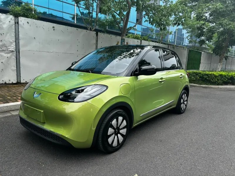 Wuling Bingo, 2023
