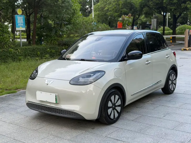 Wuling Bingo, 2023