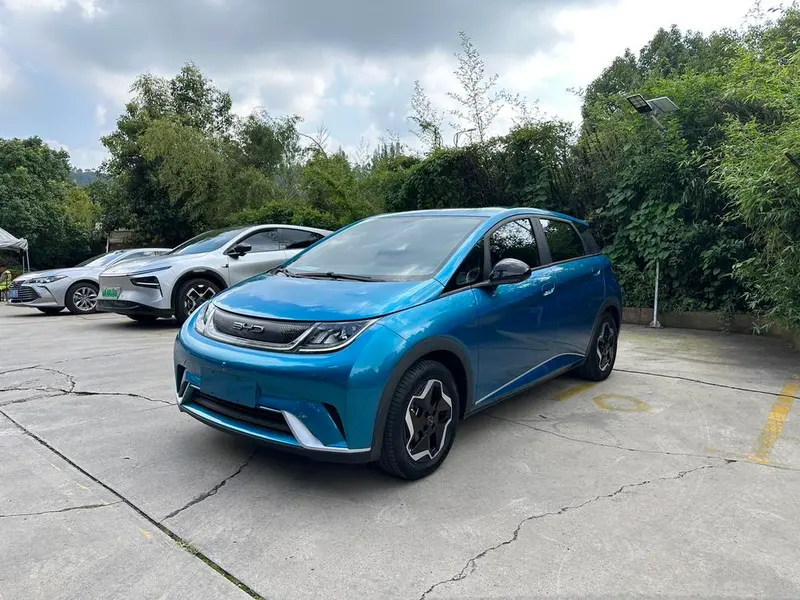 BYD Dolphin, 2021