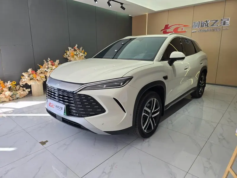 BYD Song L DM, 2026