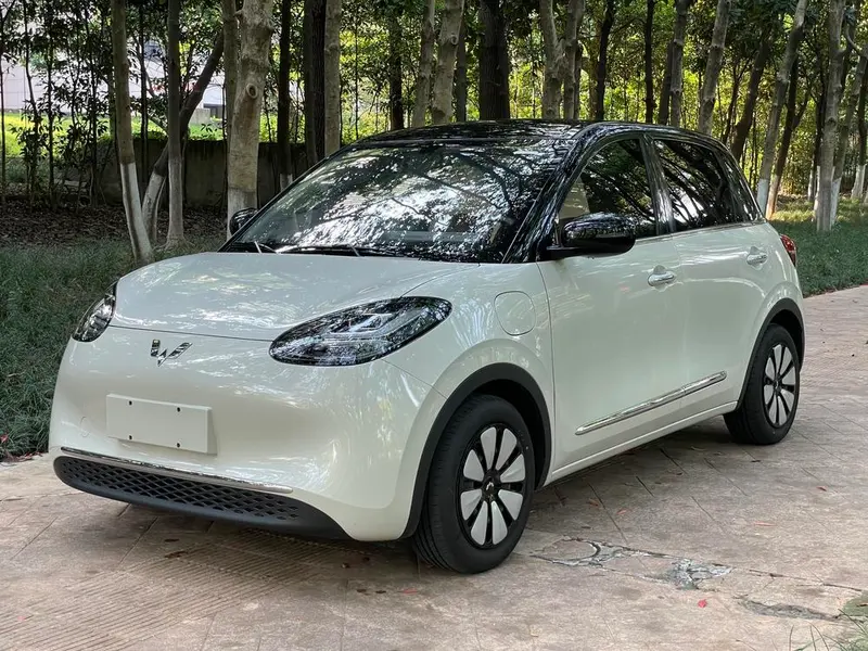 Wuling Bingo, 2024