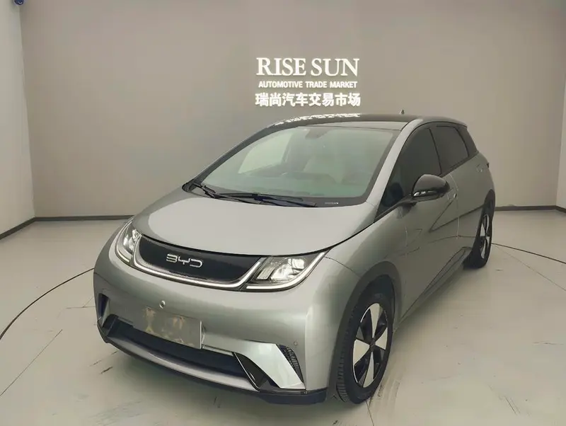 BYD Dolphin, 2023