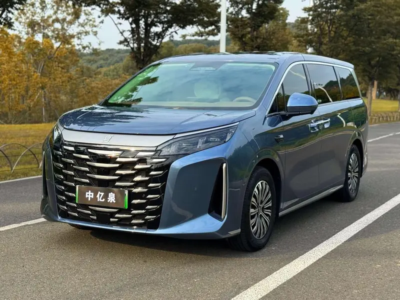 BYD Xia, 2025