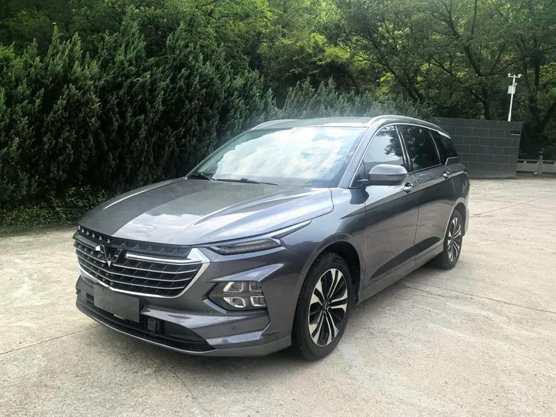 Wuling Capgemini Victory, 2020