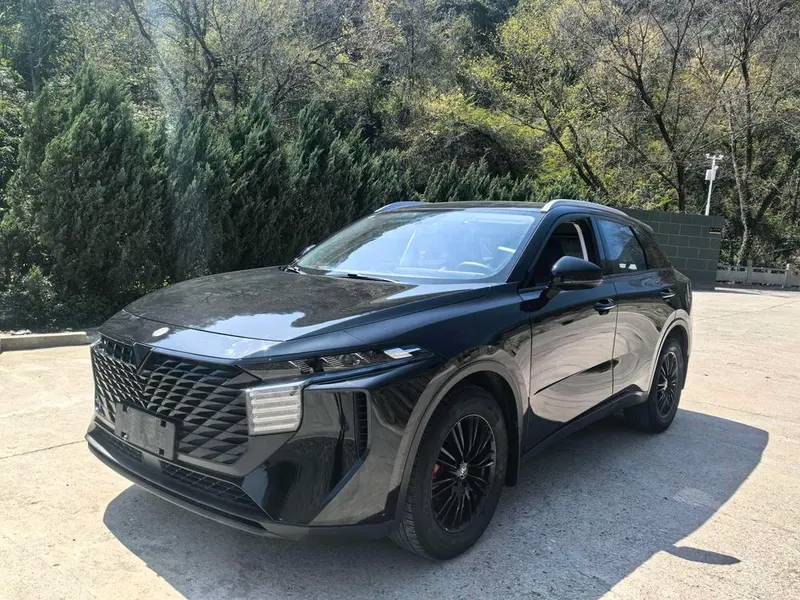 Venucia Big V, 2022