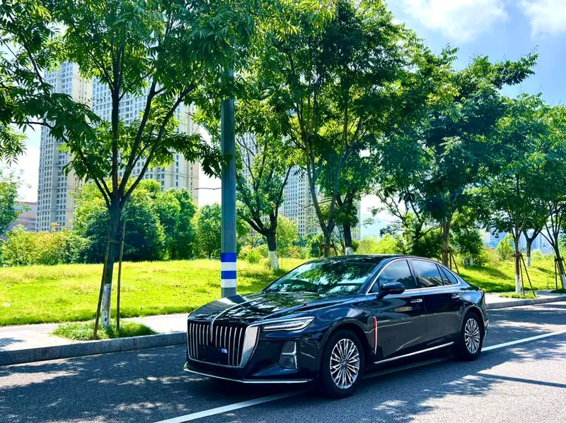 Hongqi H5, 2024