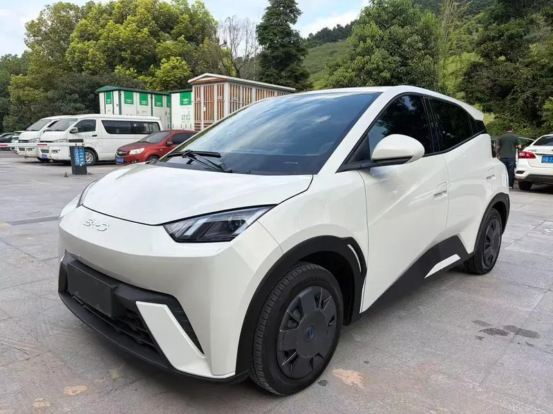 BYD Seagull, 2024