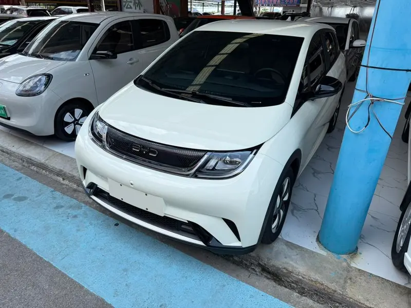BYD Dolphin, 2024
