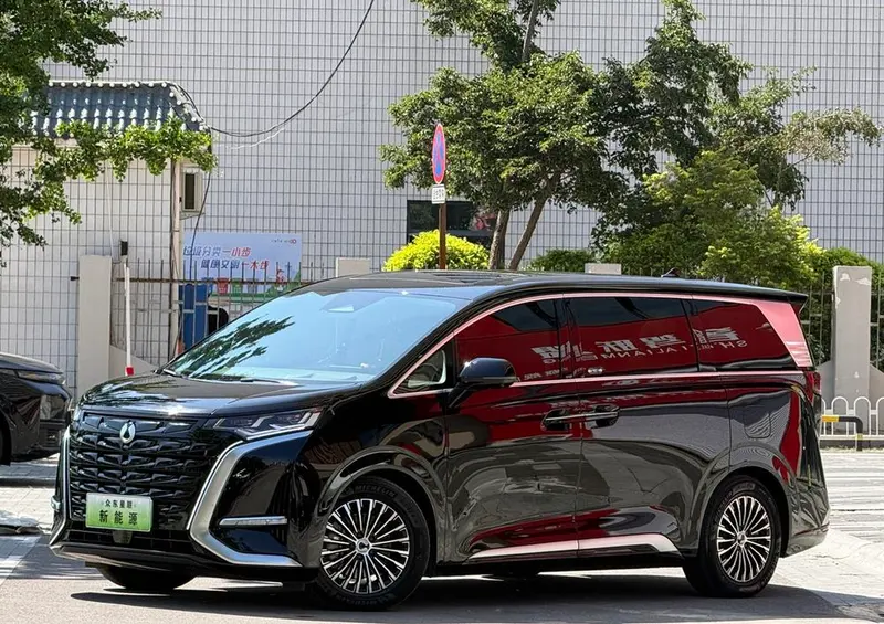 Denza D9 DM, 2024