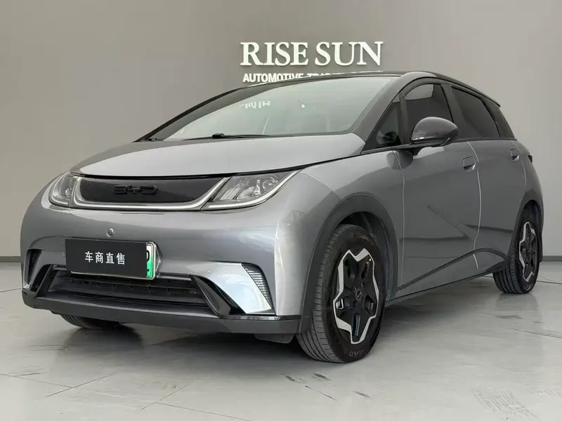 BYD Dolphin, 2021