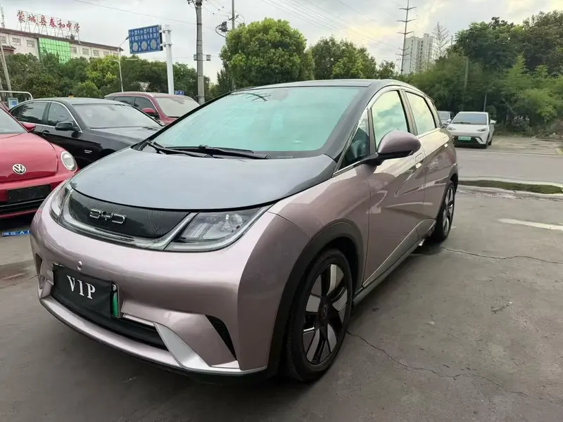 BYD Dolphin, 2021