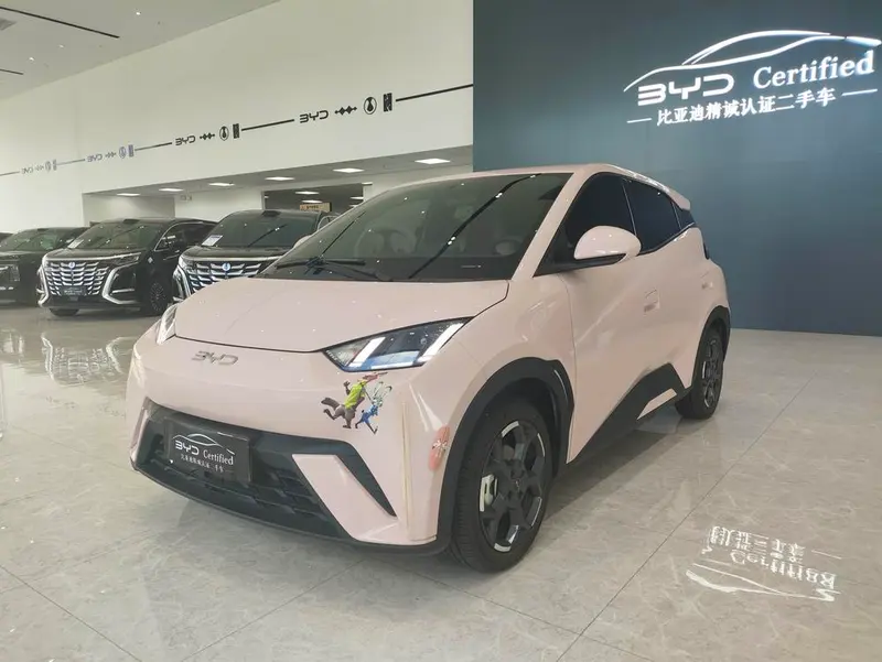 BYD Seagull, 2025