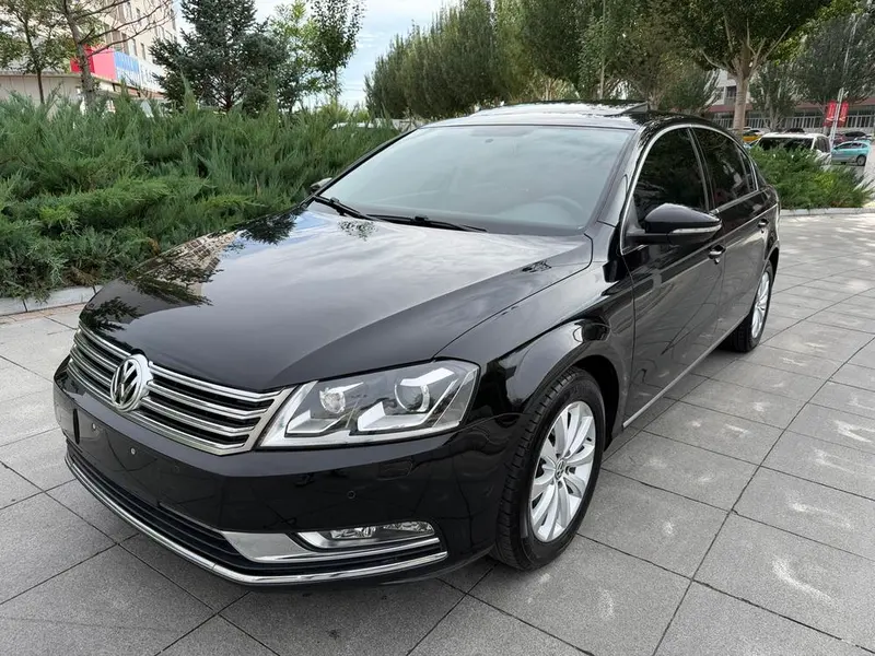 Volkswagen Magotan, 2013