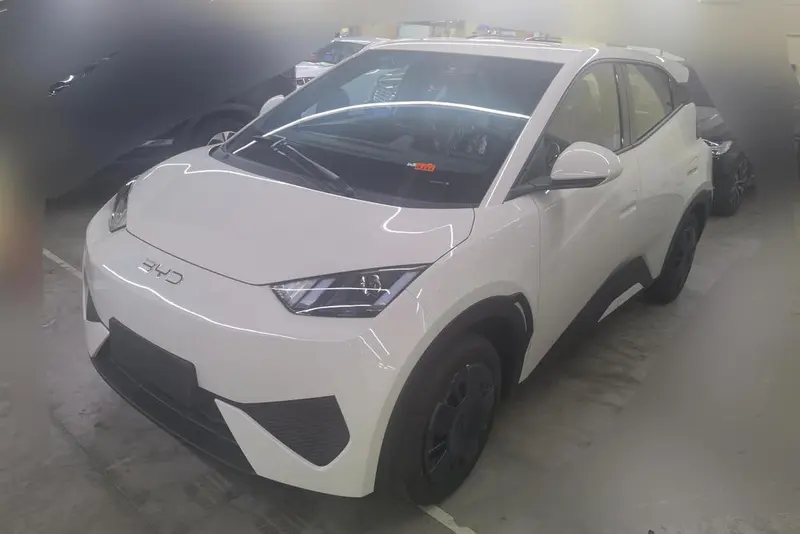BYD Seagull, 2025