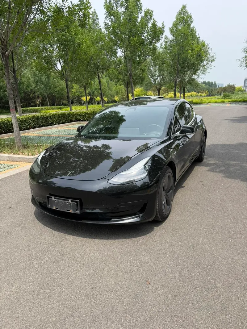 Tesla Model 3, 2019