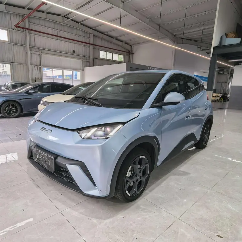 BYD Seagull, 2024