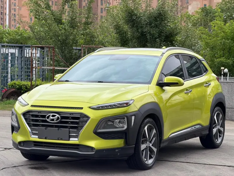 Hyundai Encino, 2018
