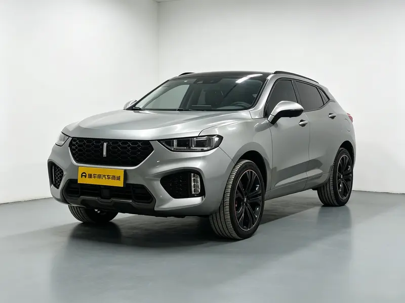 Wey VV5, 2019