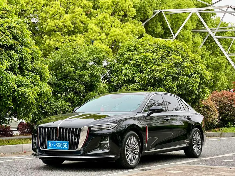Hongqi H5, 2024