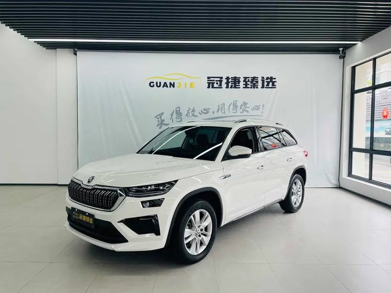 Skoda Kodiaq, 2024