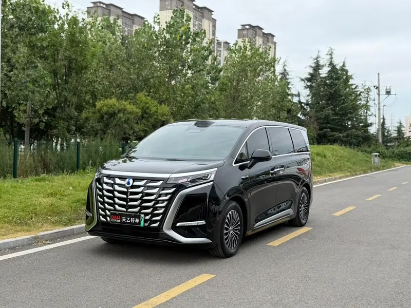 Denza D9 DM, 2025